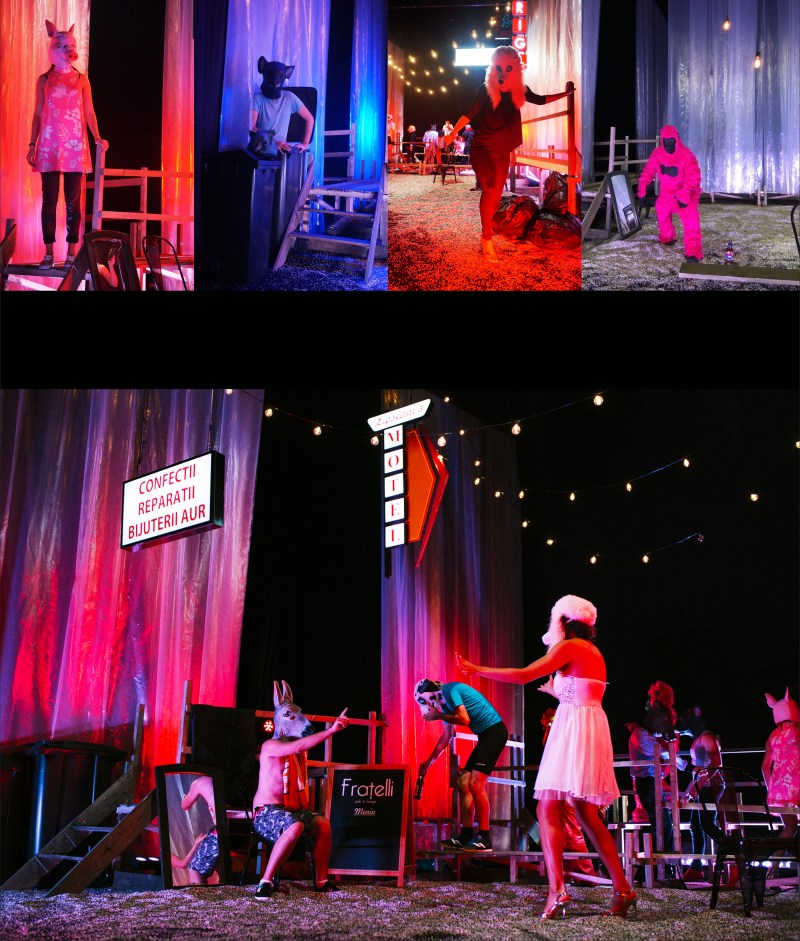 D'ale carnavalului 2