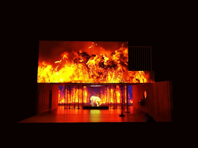 IMG_20191128_193457_1