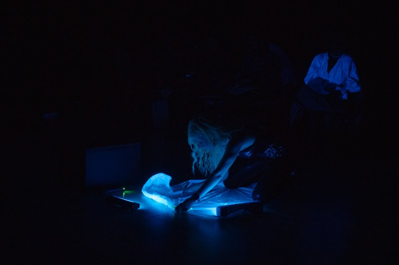 visible invisible_arcub_20oct_adibulboaca-02723