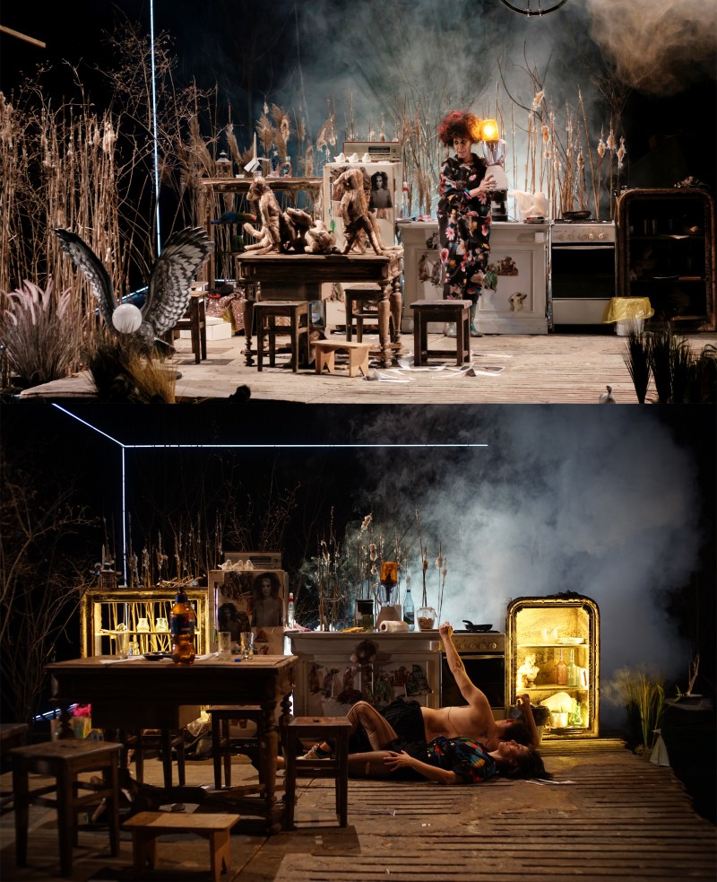 Casa cu suricate_16a