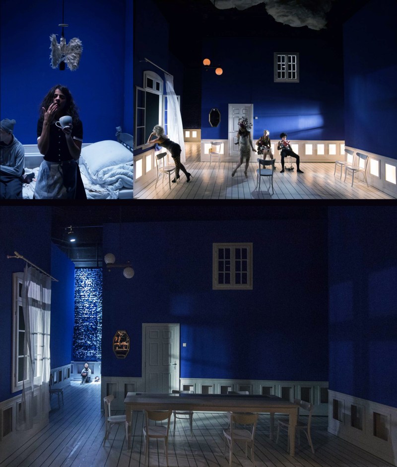 Un copil din flori_3_5