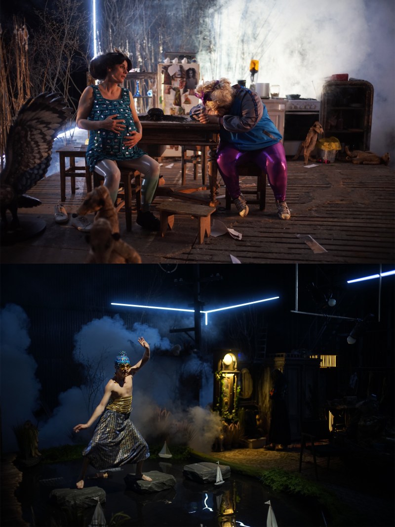 Casa cu suricate_12a